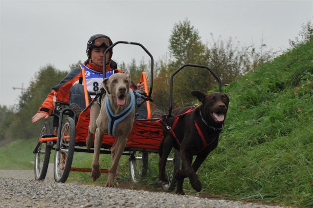 Rennen Weinfelden